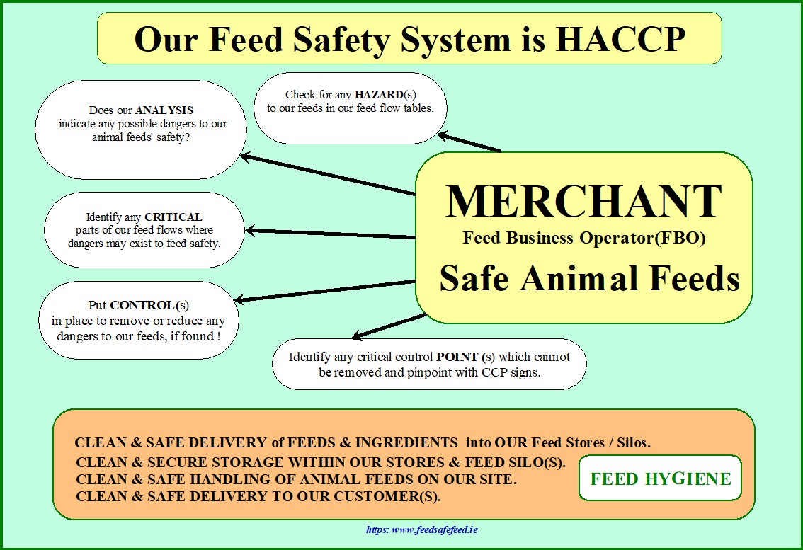 FEEDSAFEFEED 2024
